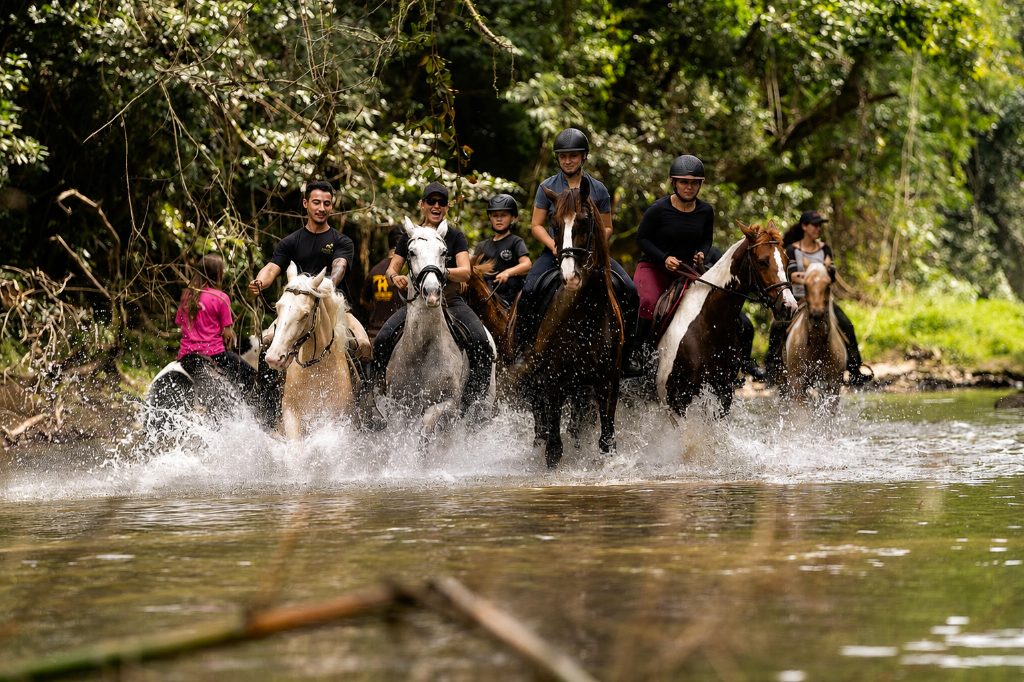 Passeio equestre na natureza