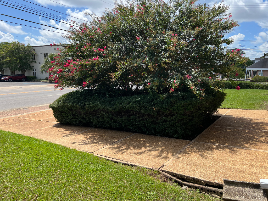 Clean Pressure Washing after professional cleaning — EcoClear Dothan AL