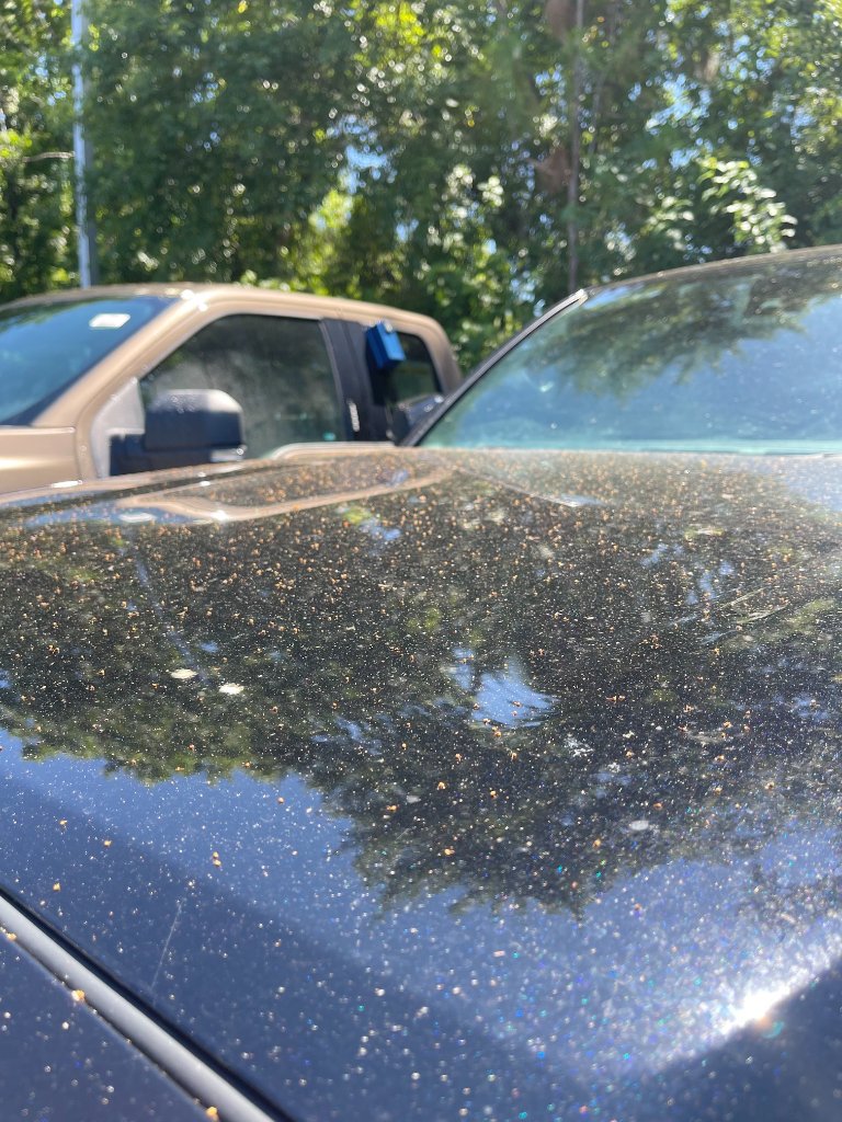 Before and after Dealership Services at a commercial property in Dothan, AL by EcoClear Dothan