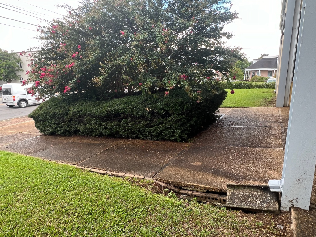 Dirty Pressure Washing before cleaning — EcoClear Dothan AL