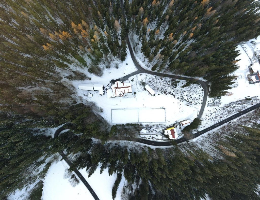 Nickelwald