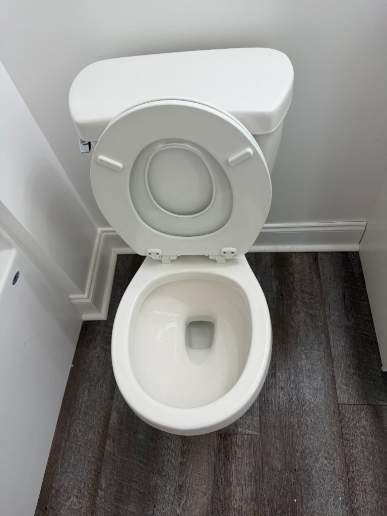 Toilet Deep Clean after