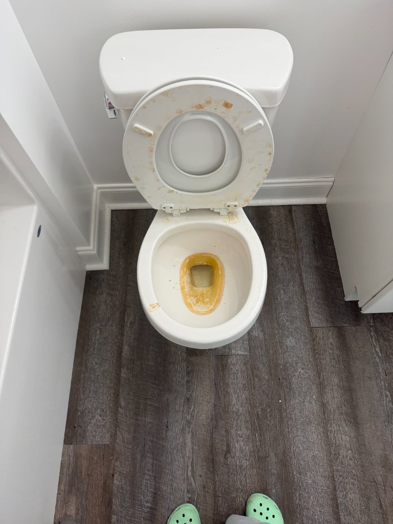 Toilet Deep Clean before