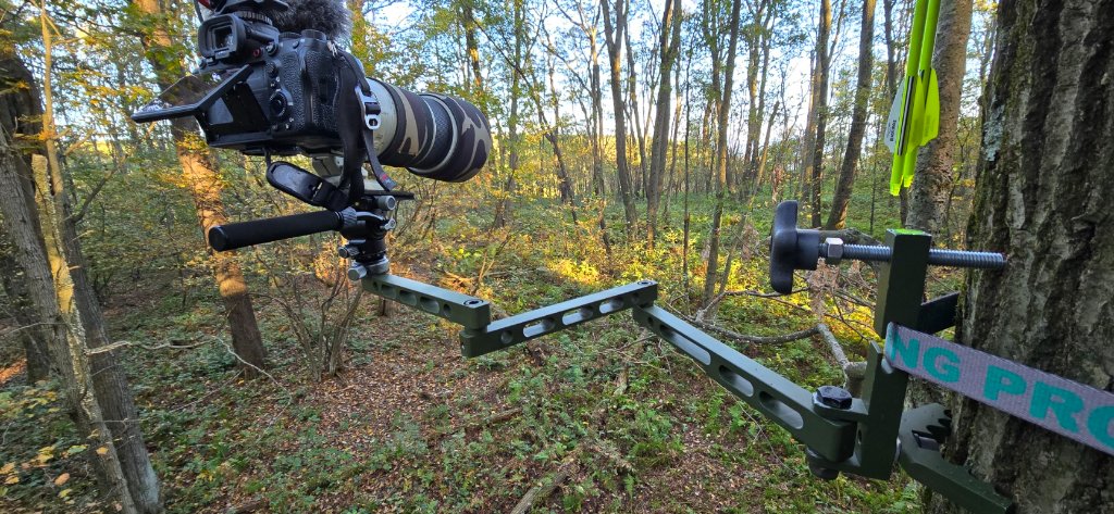 Camera arm mounted on tree overlooking misty valley at dawn