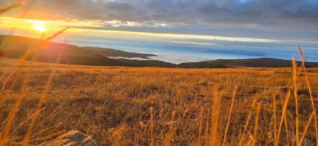 Golden Hour Sunrise