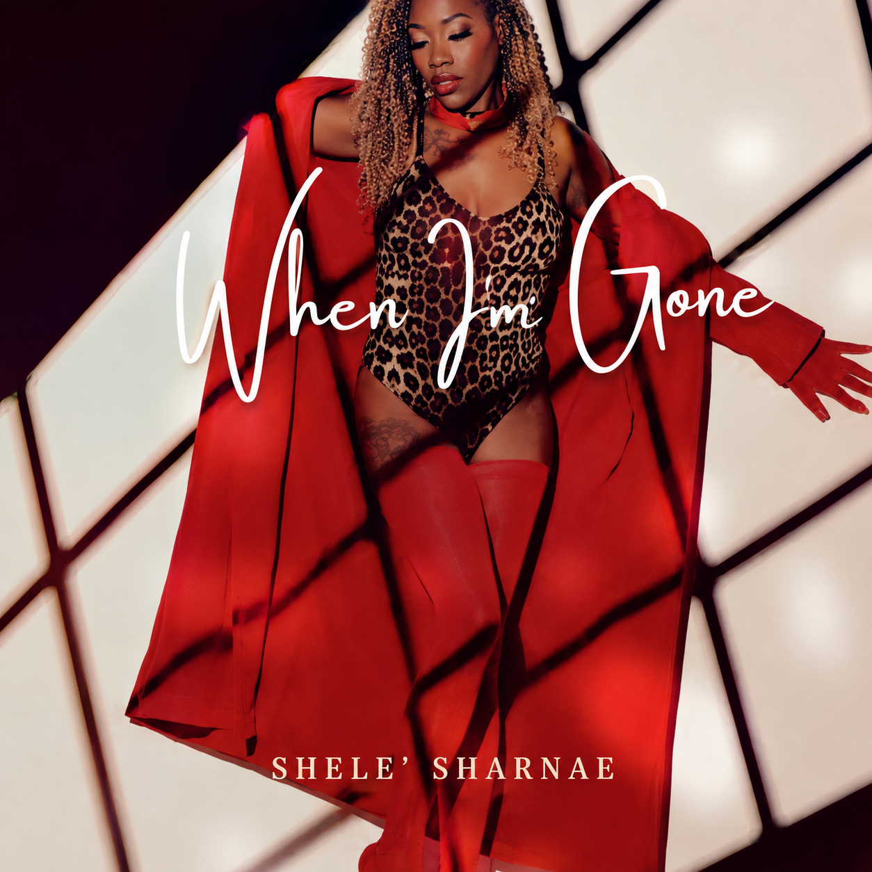 When I'm Gone