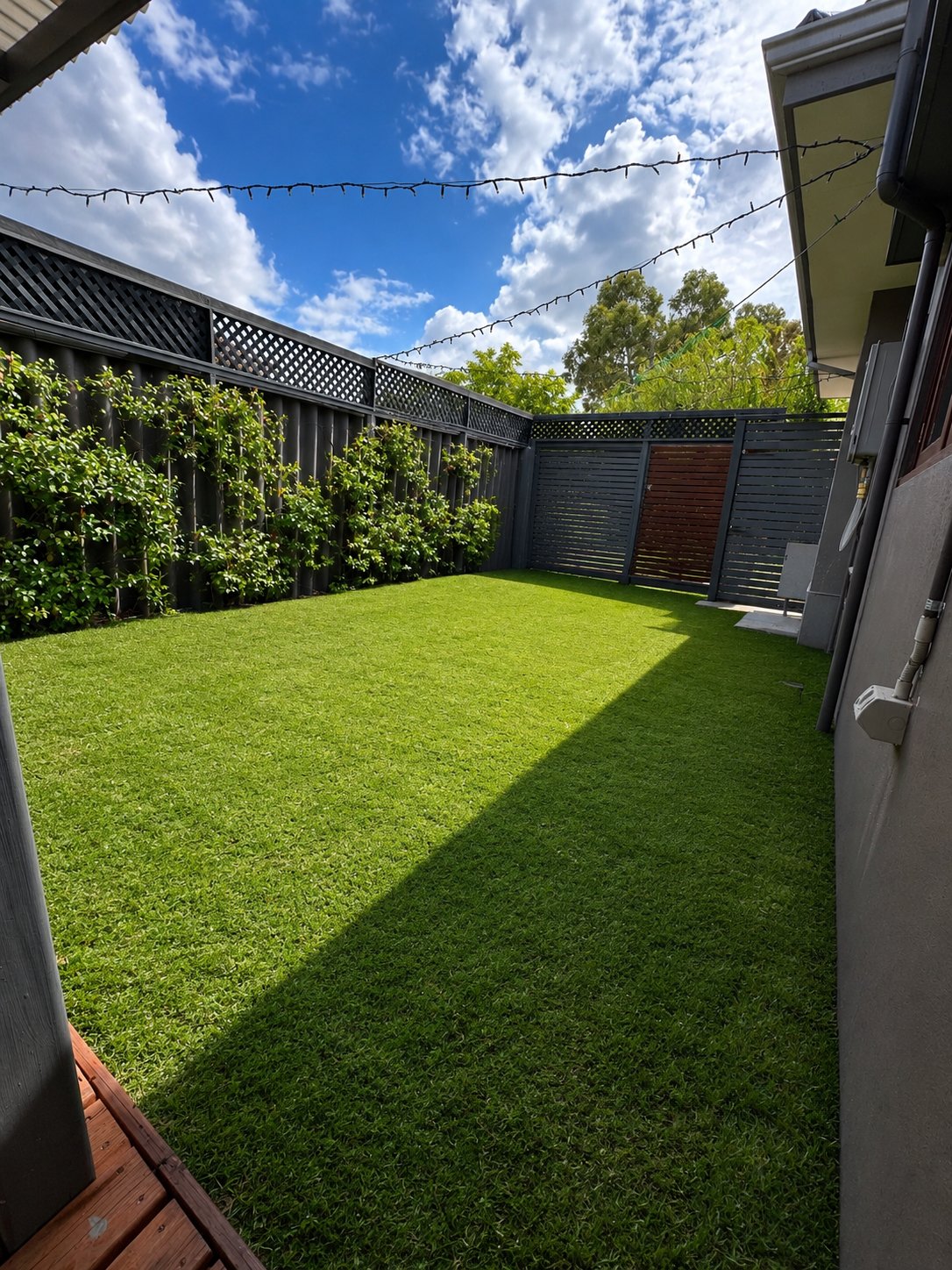 Backyard lawn with timber decking and feature fencing