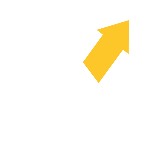The Expert Project