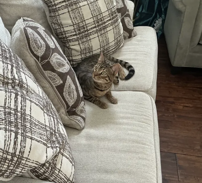 Happy guest