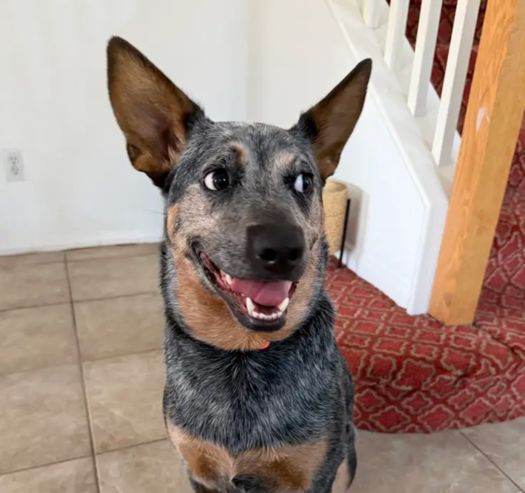 Happy guest