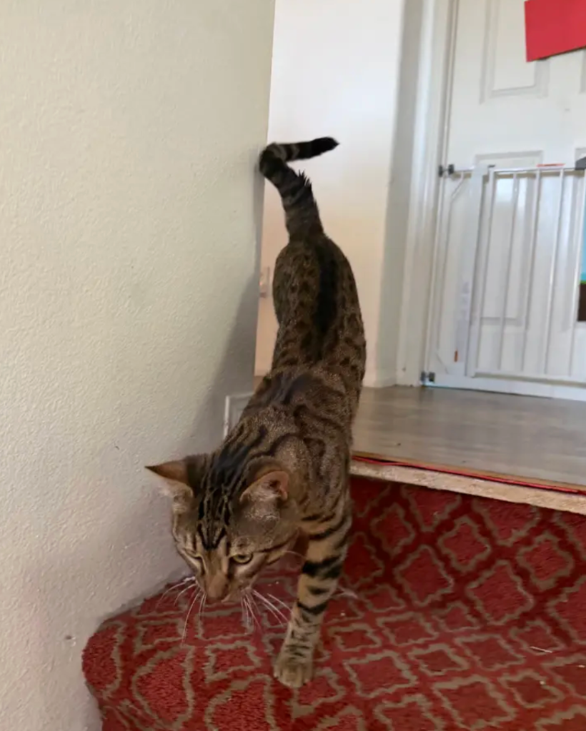 Happy guest