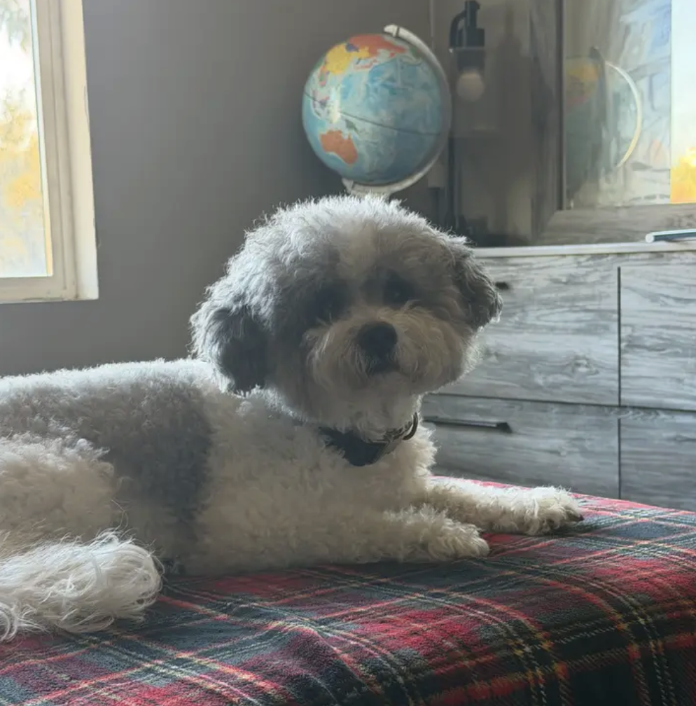 Happy guest