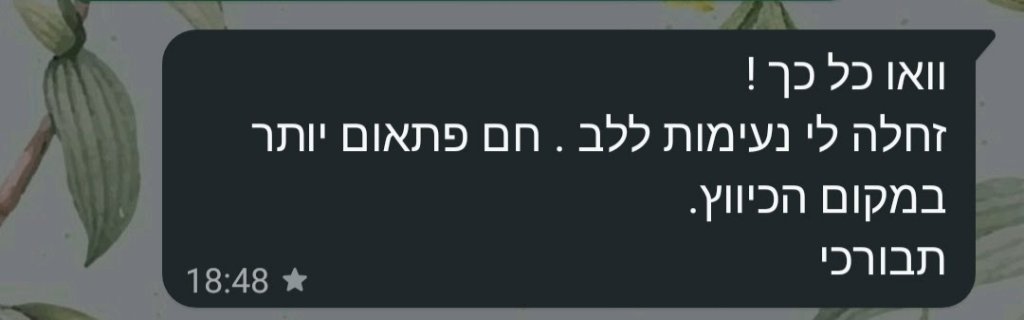 המלצה