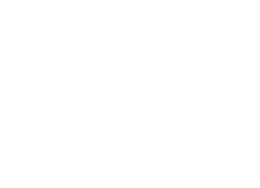 BrandScaler Icon