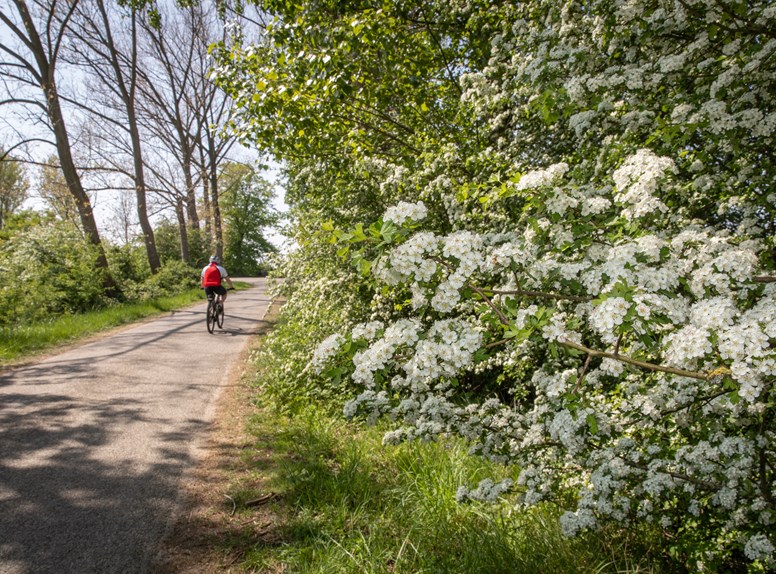 Fietsen rond Nisse