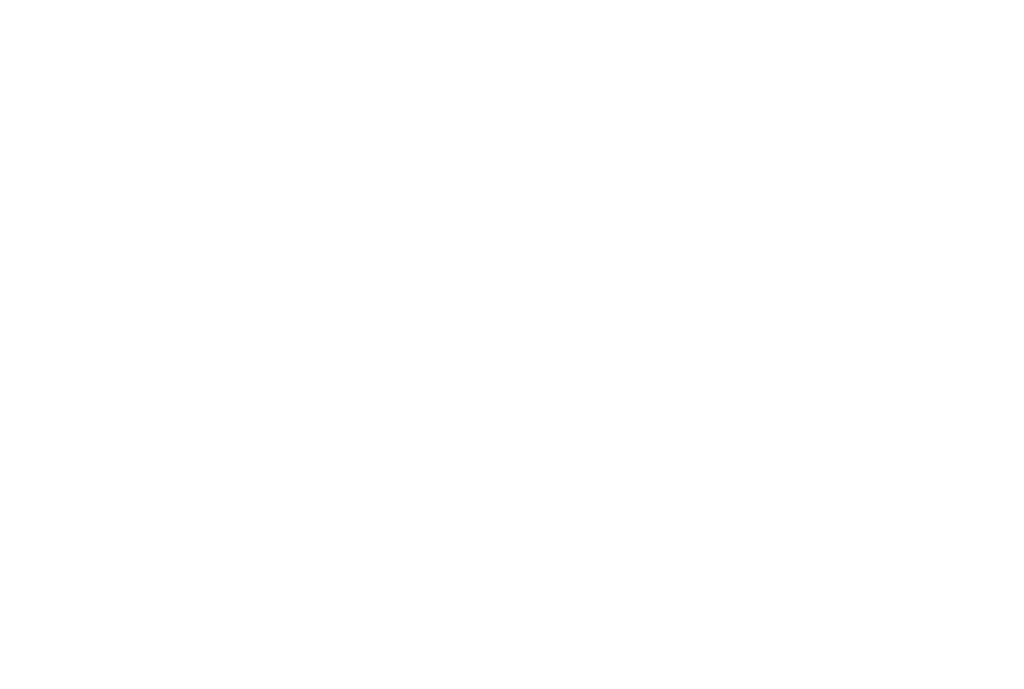 Intinnidas