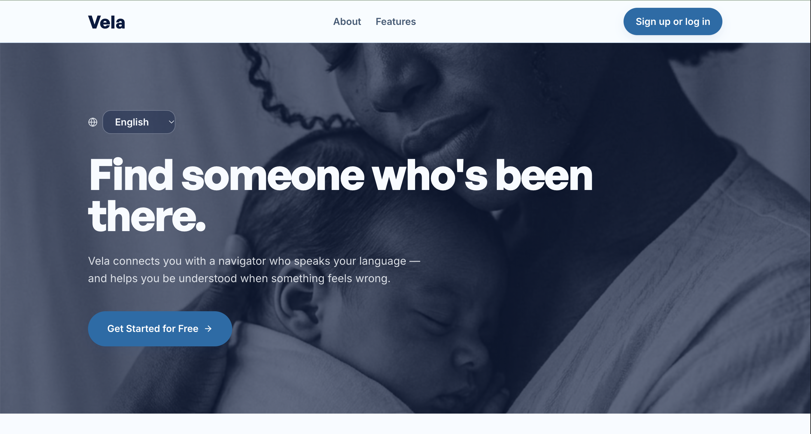 Vela — project screen