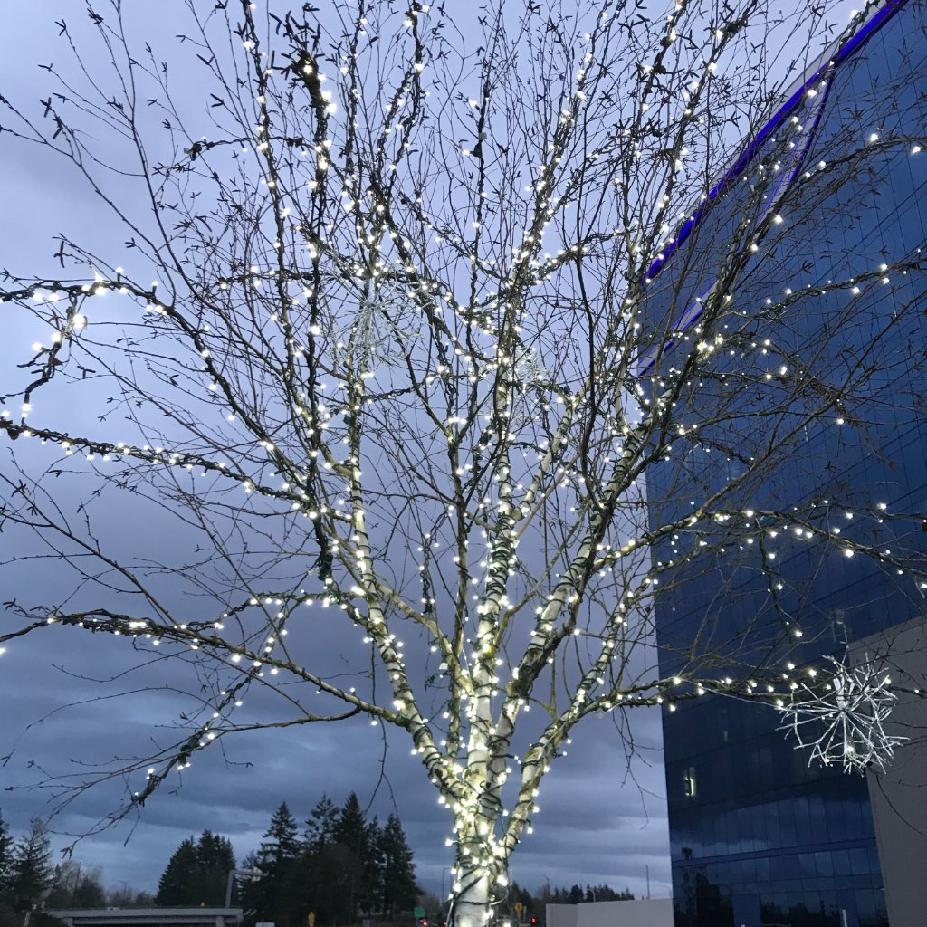 Tree Lighting