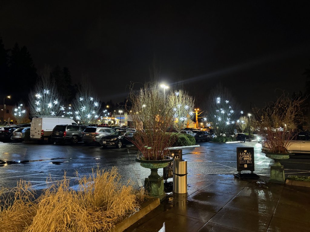Outdoor Commercial Holiday Lighting
