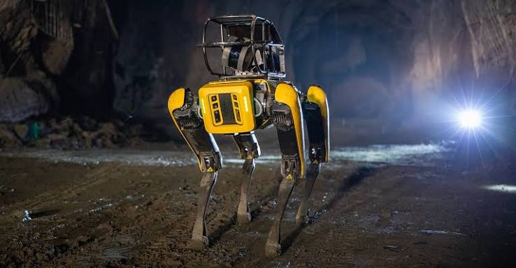 Robotic Scanning