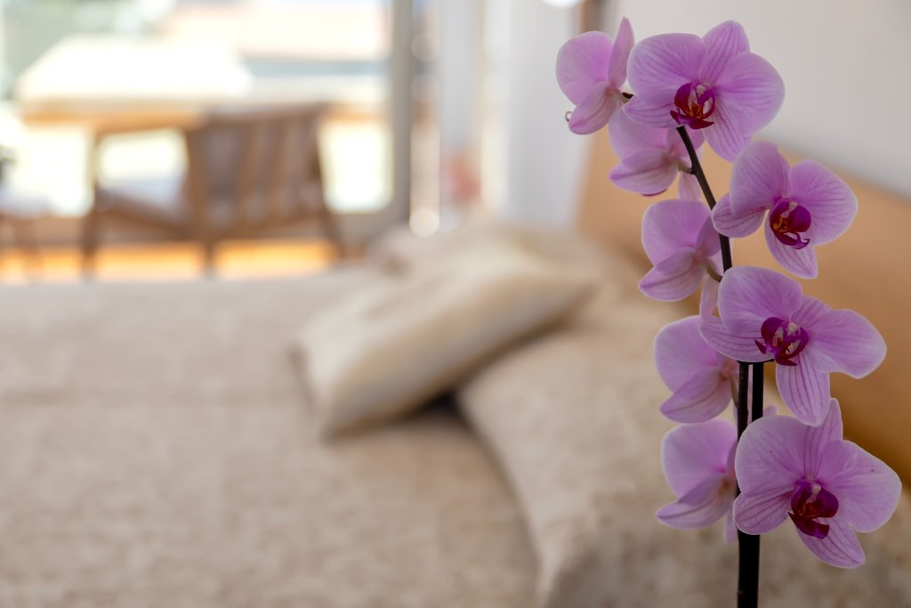 Garden View, Villa Azura | Kayora Collective