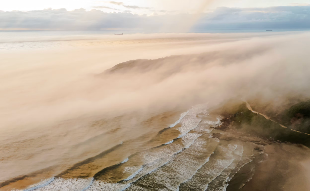 Misty Shoreline