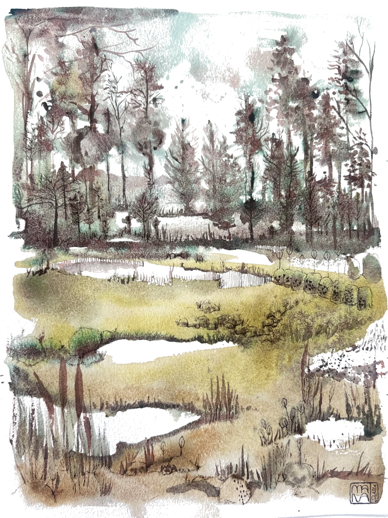 Joana Padilha - Watercolour Artist