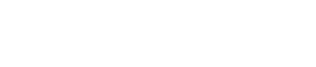 LeadValets logo