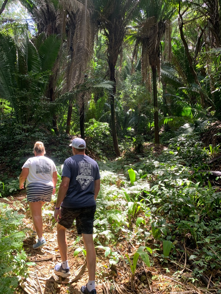 Carambola Nature Trail & Viewpoint Adventure