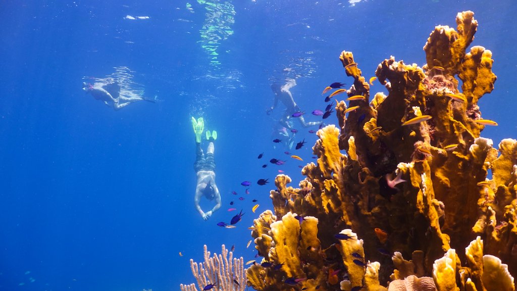 Beach Day & Snorkeling Adventure