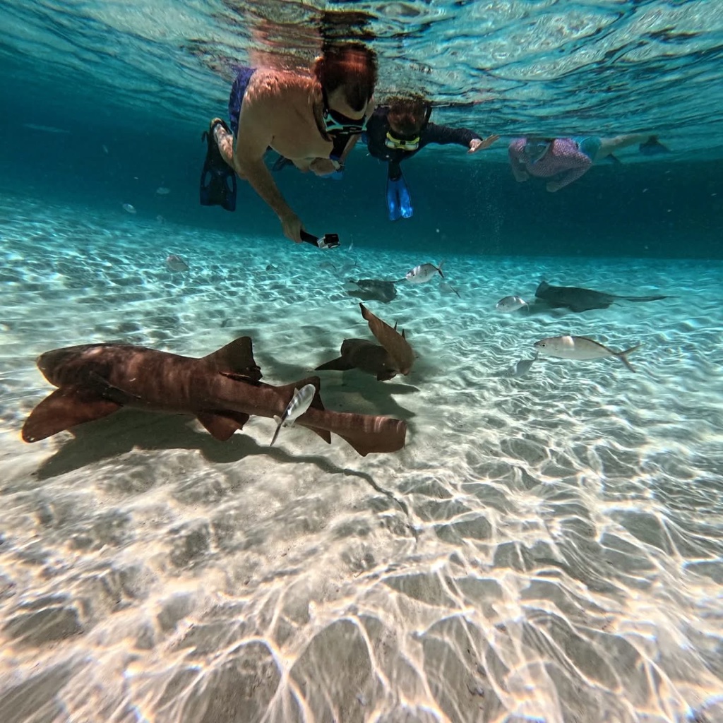 Pigeon Cay Ultimate Island Escape