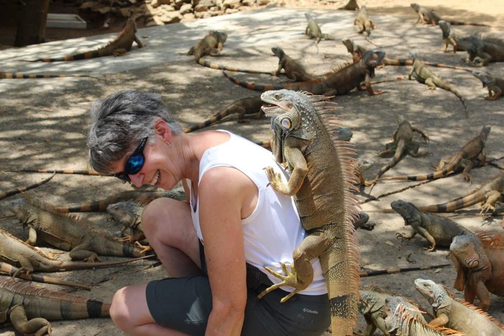 Iguana Park, Monkeys & Sloths + Island Highlights Tour