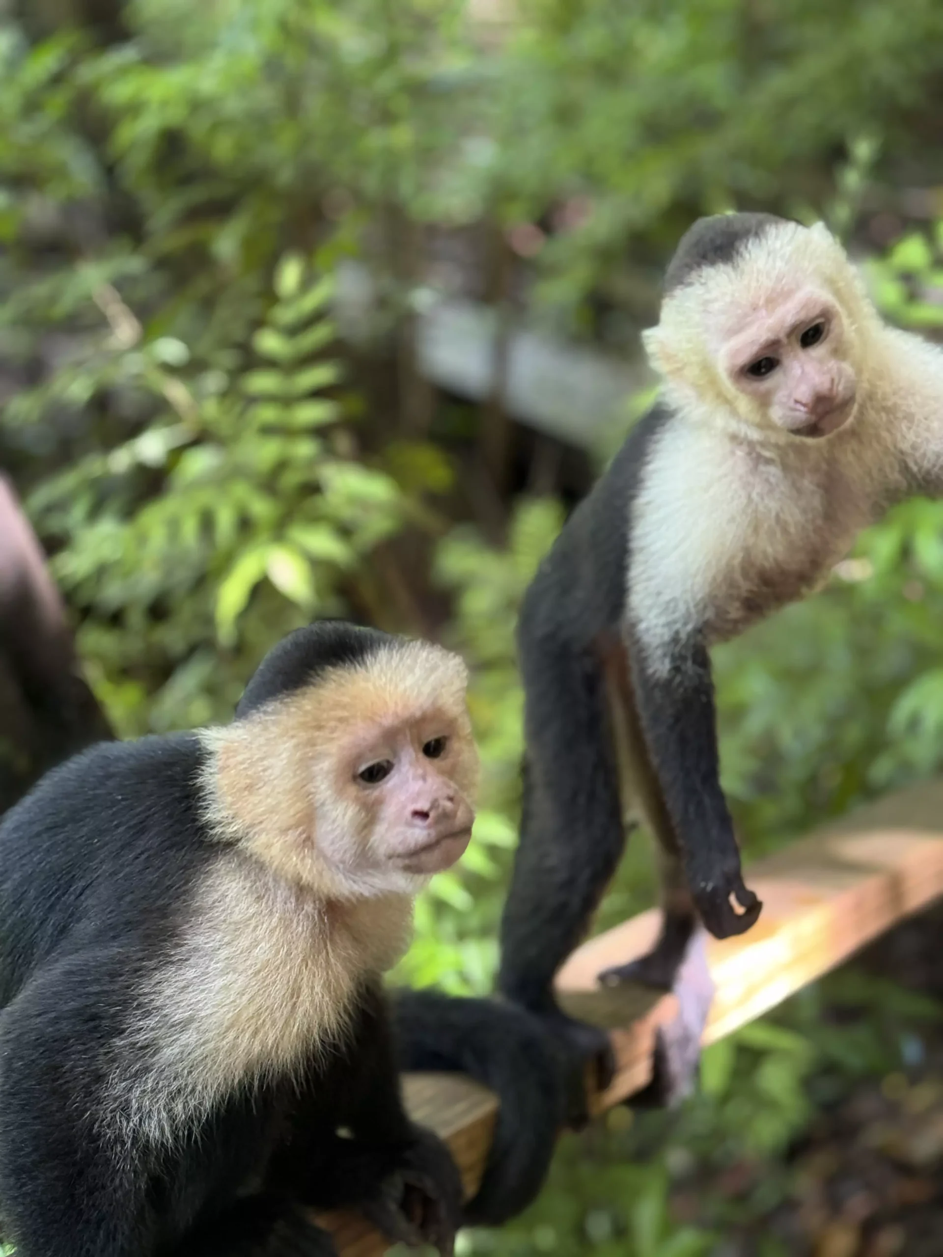 Wildlife & Paradise Adventure