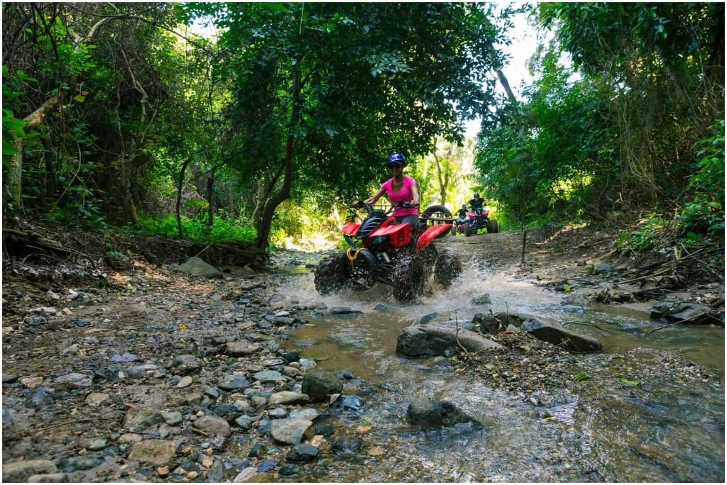 ATV Jungle Adventure