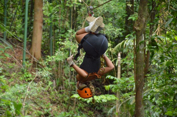 Zipline Adventure + Sloths & Monkeys Encounter