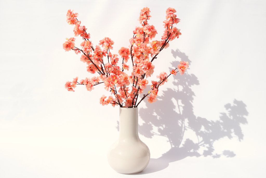Rode rozen met eucalyptus witte achtergrond