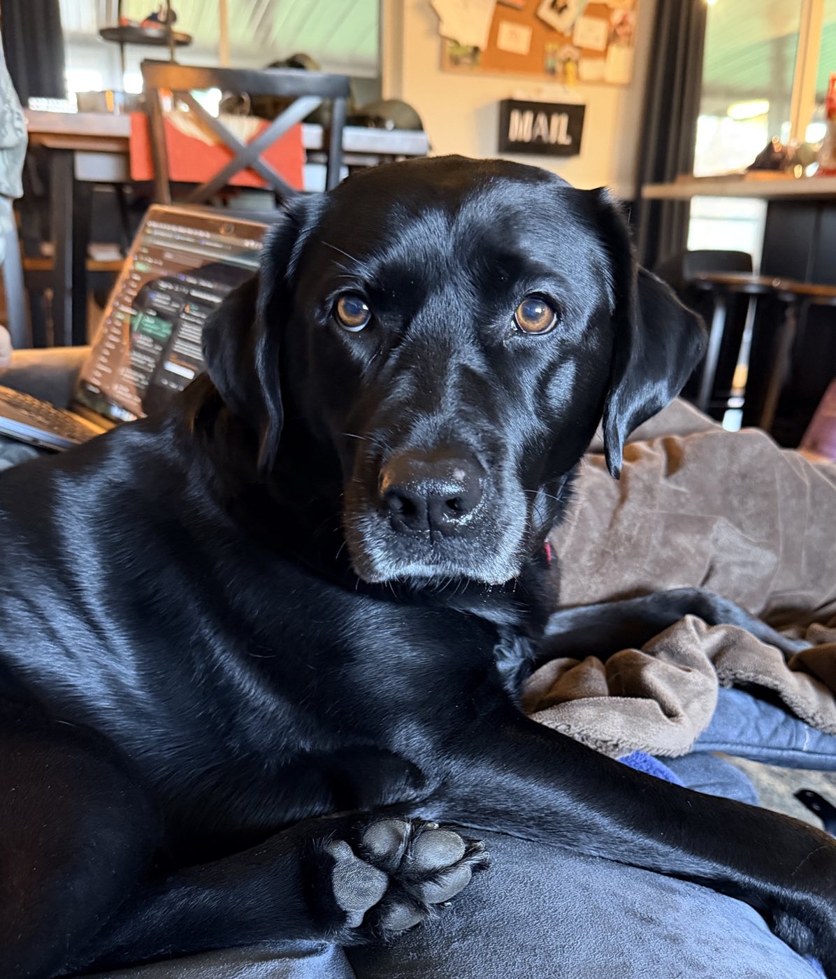 The QA department, on the couch