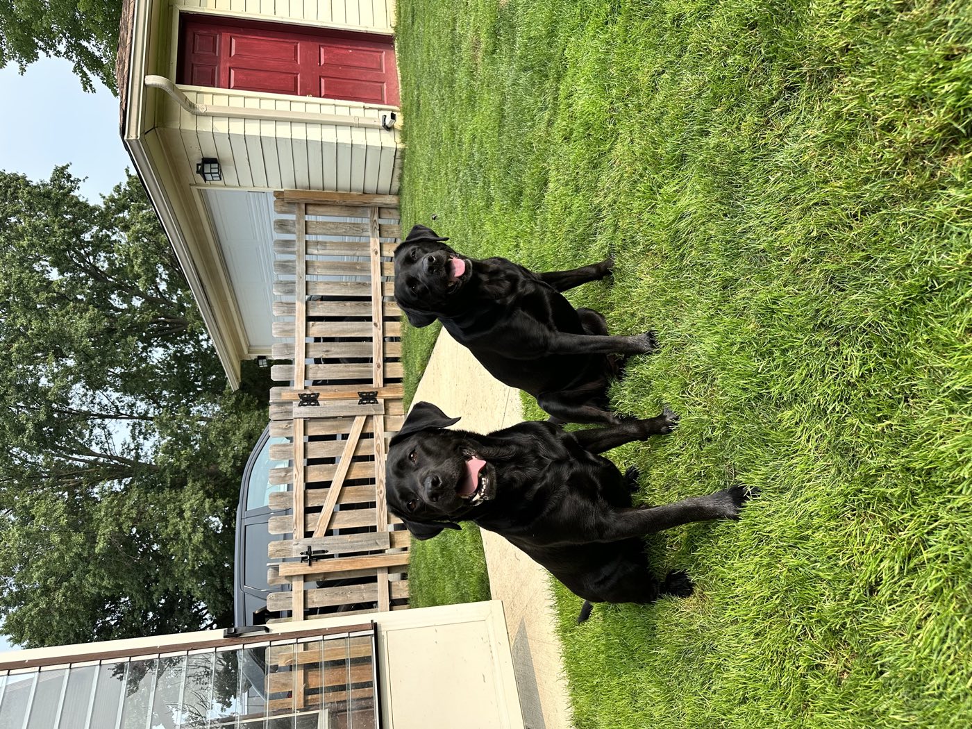 The welcome committee