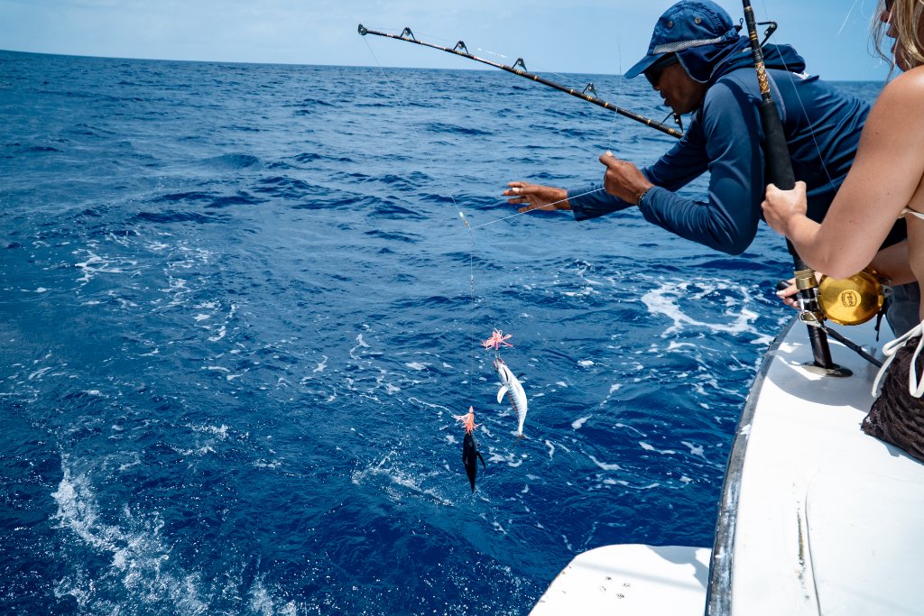 Rods set at sea