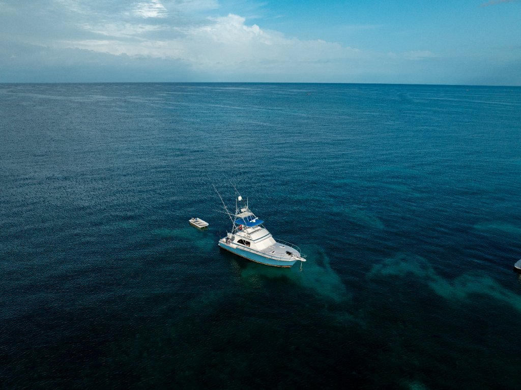 Aerial top-down over reef