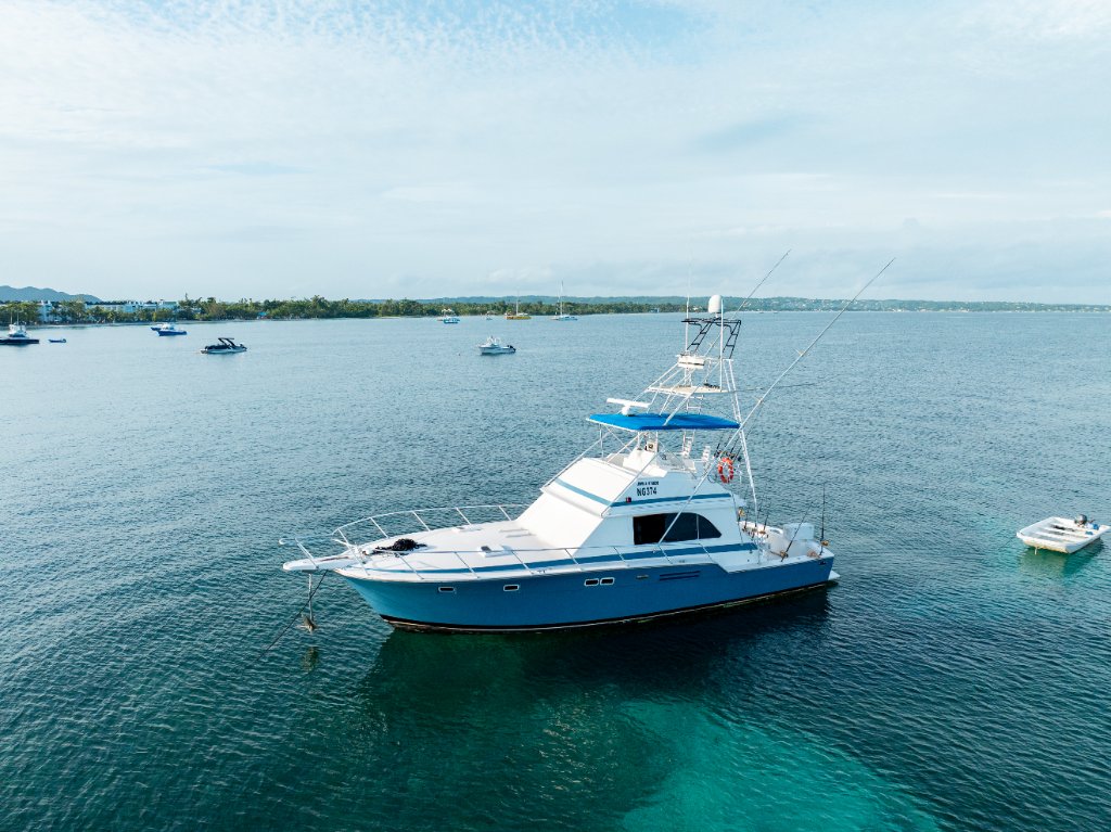 Head First — 46ft Bertram Sportfisher, Negril Jamaica
