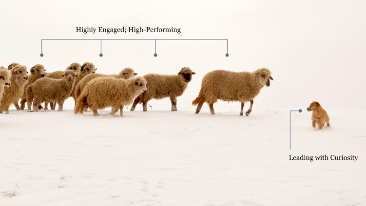 Why Innovation Is Now a Core Leadership Competency