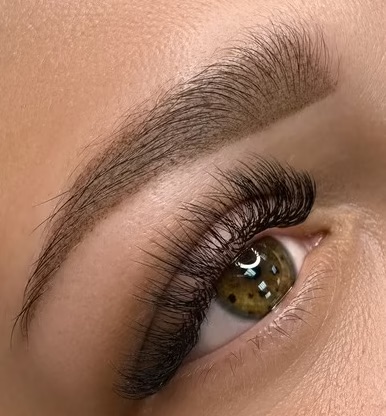 Brows