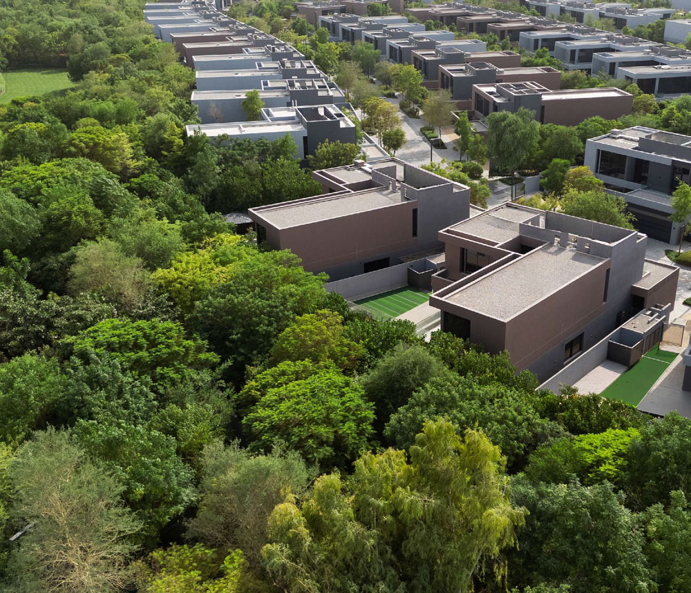 Aerial community view