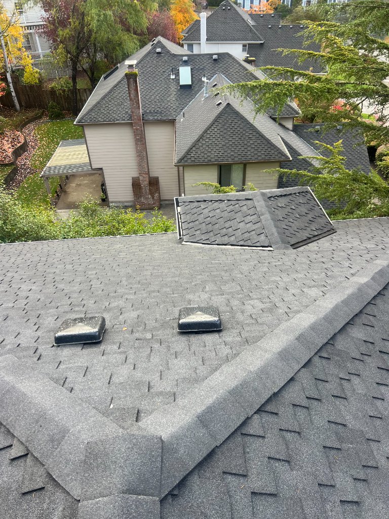 Roofing Project