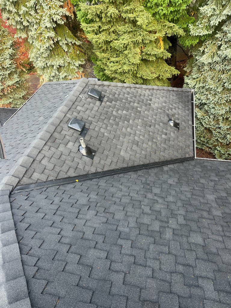 Shingle Roofing Installation And Repair