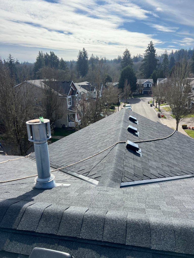 Roofing Cleaning And Maintenance