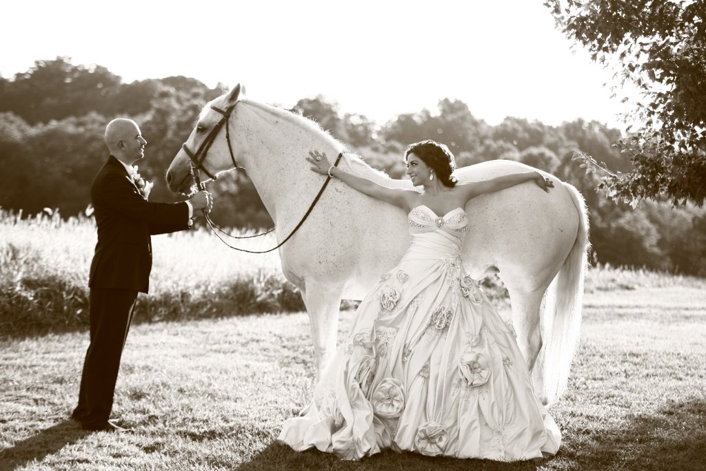 Elegant Bella Betrothed wedding celebration in the Washington, DC area