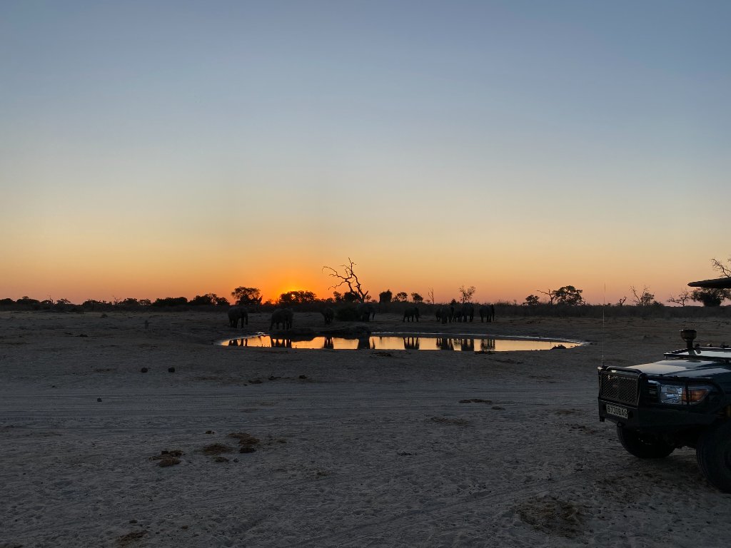 Elephants at the Waterhole — Sunset