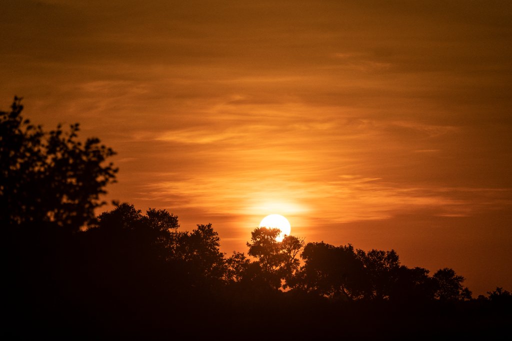 African Sunset